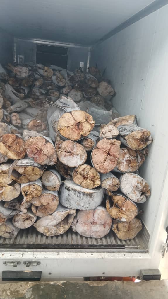 اسب مارلین آماده بارگیری صنعتی